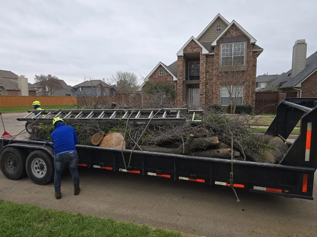Expert Tree Fertilization with proper safety equipment in Leesburg